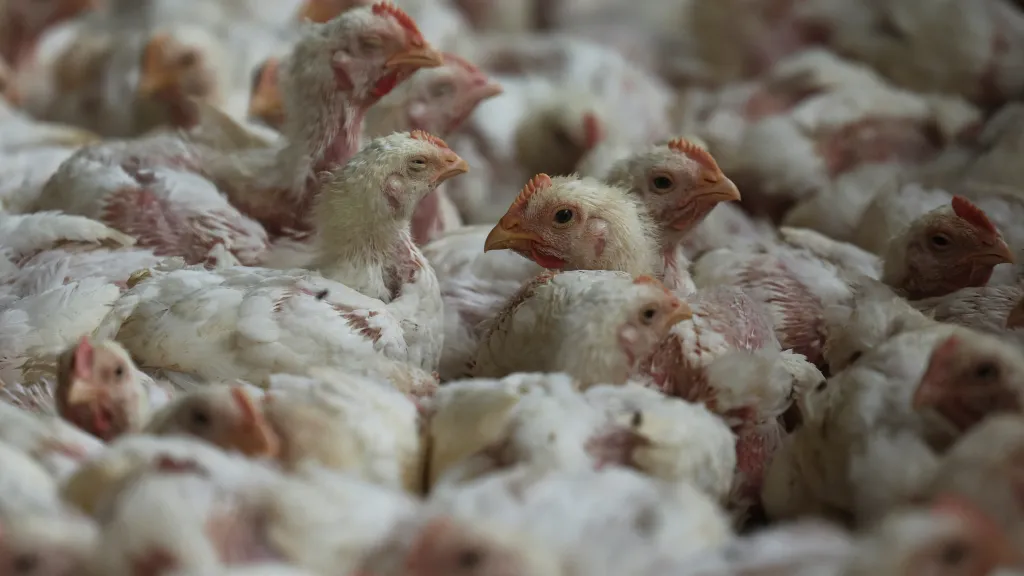 Ilustrační fotografie