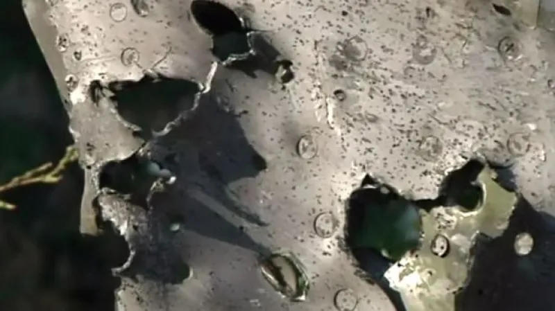 Horizont ČT24: Měsíc od tragédie letu MH17