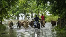 Záplavy na severovýchodě Indie