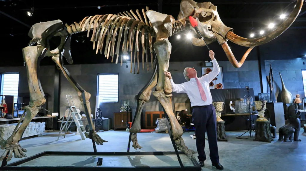 Kostra mamuta Montyho