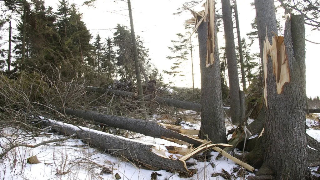 Polomy po orkánu v Krkonoších