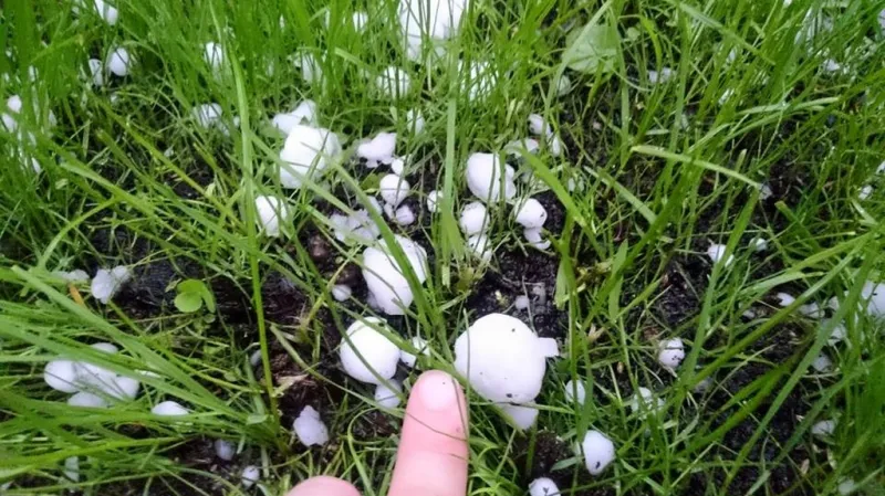 Kroupy v Kašperských Horách