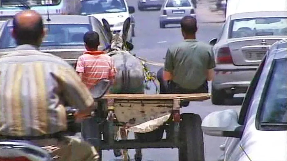 Palestina