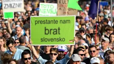 Slovenský protest proti ministryni Šimkovičové