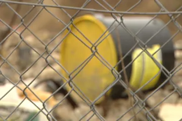 Z Lovosic chemici odvezli již 500 tun odpadu, podobných lokalit je v ČR nejmíň 20