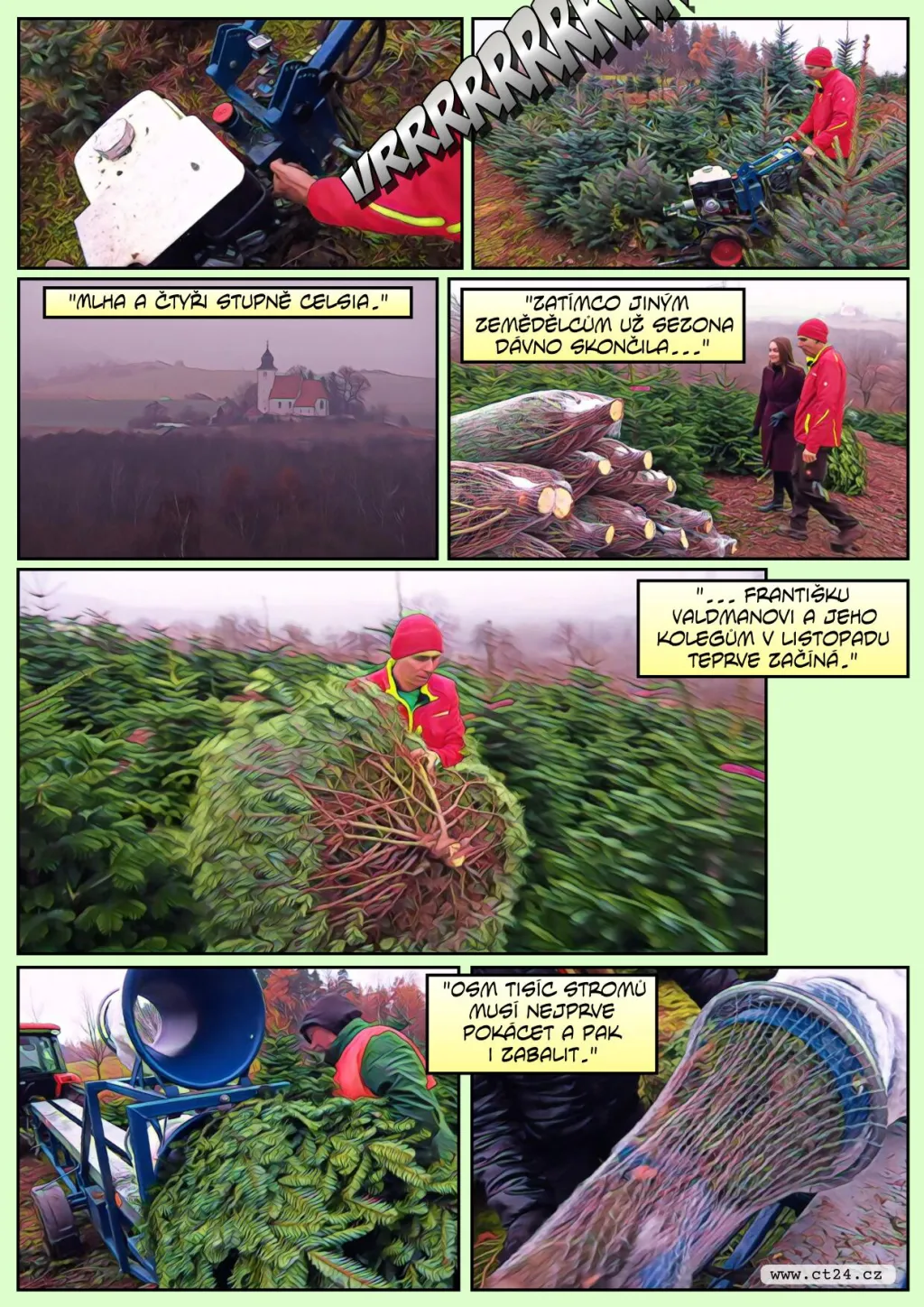 Prodej vánočních stromků