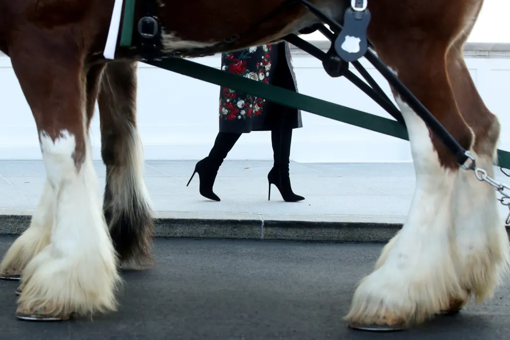 Americká první dáma Melania Trumpová šla převzít vánoční strom určený pro Bílý dům z pennsylvánských farem Mahantongo Valley. Při tom ji zachytil fotograf Jonathan Ernst
