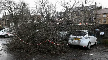 Auta pod spadlým stromem v Linlithgowu