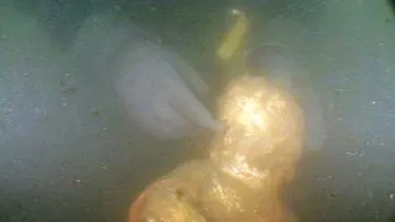 Potápěč vyzdvihuje sochu andělíčka