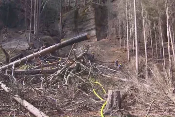 Hasiči u Pravčické brány lokalizovali požár. Policisté zadrželi člověka kvůli pyrotechnice