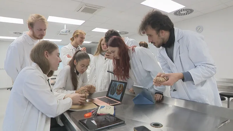 Studenti medicíny při výuce