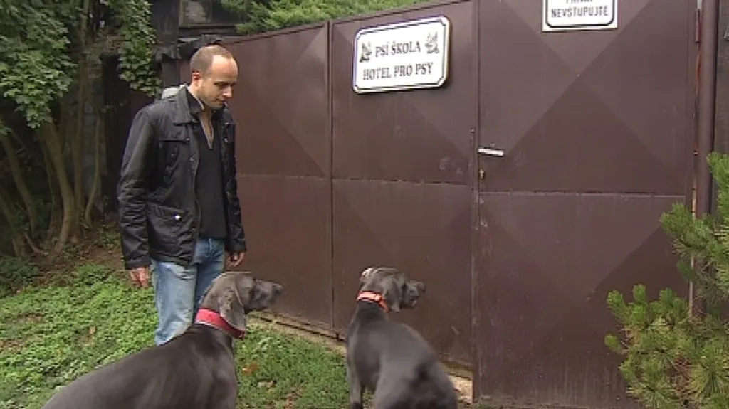 Cairo a Dante chodí do psí školky pravidelně, aby se doma nenudili