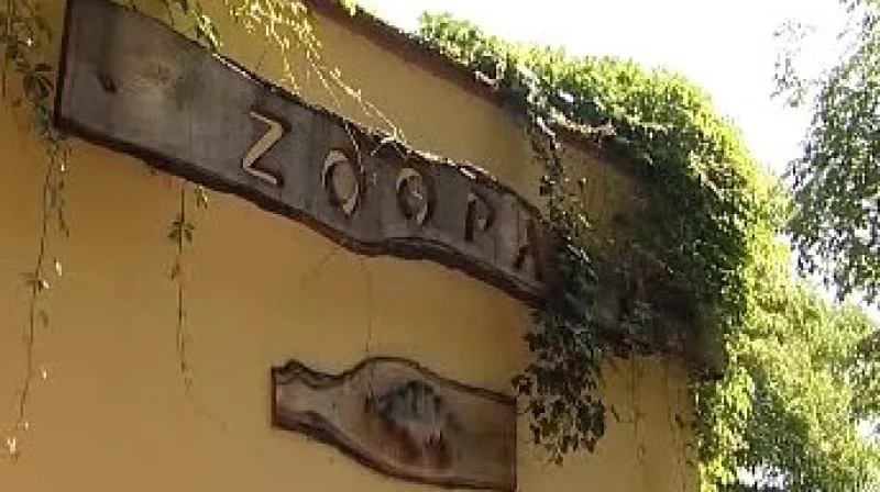 Rozjitřenou atmosféru v Podkrušnohorském zooparku by měla uklidnit manželka odvolaného šéfa.