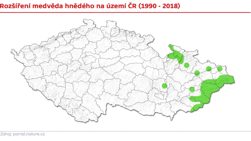 Rozšíření medvědů v Česku