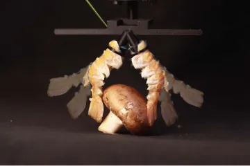 Švýcarští inženýři stvořili robota z mrtvých těl krevet