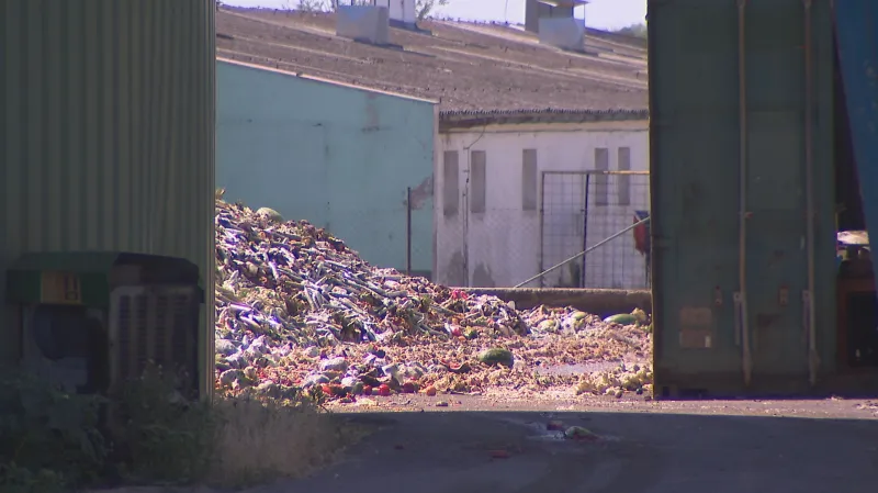 Dvůr bioplynové stanice