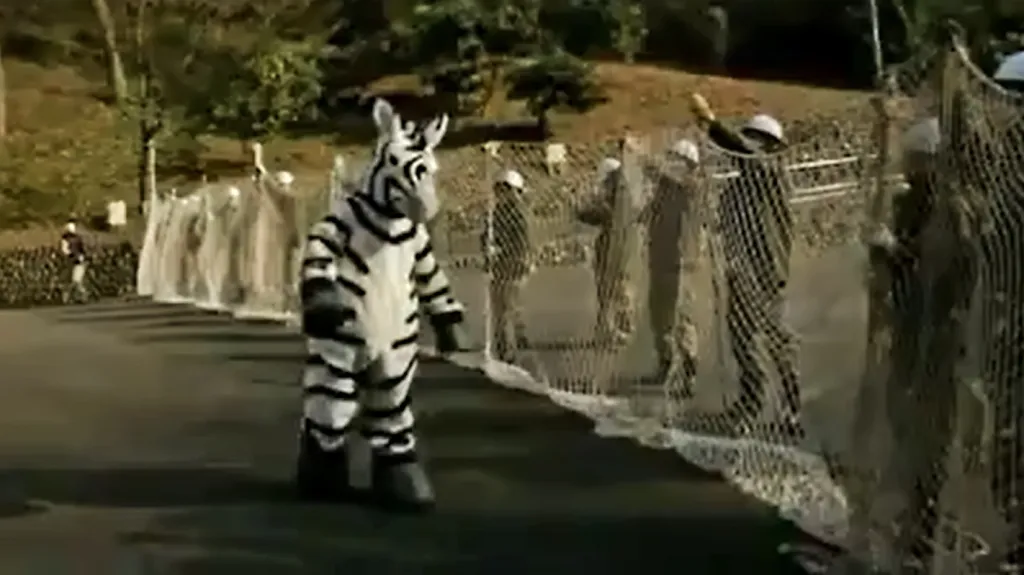 Nácvik odchytu zvířat v japonské zoo