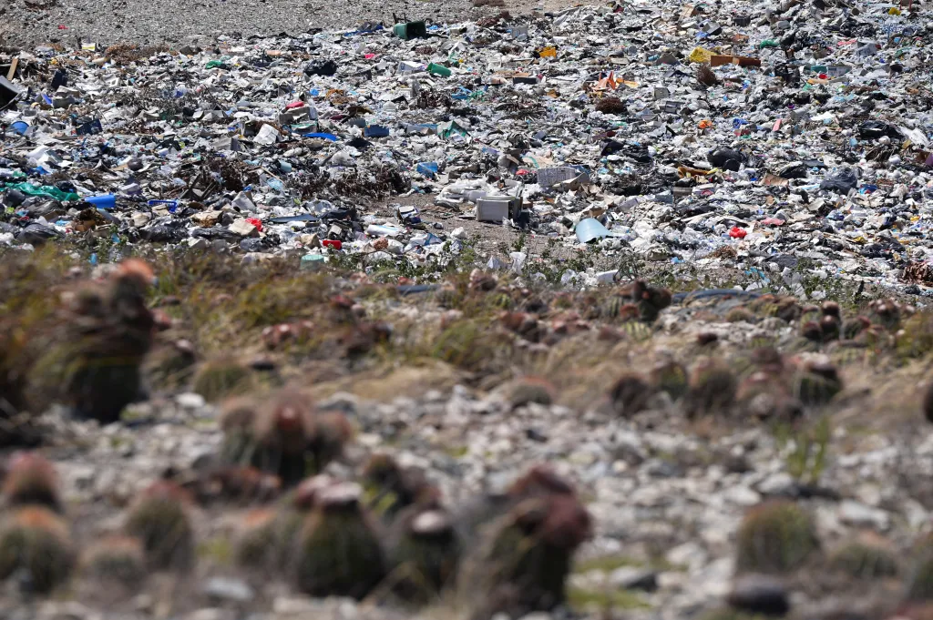 Výstavba infrastruktury způsobuje znečištění a vytváří sedimenty, které mohou významně ovlivnit útesy i růst mangrovových porostů, které jsou líhní mnoha druhů zvířat. Podle vědce, který si přál zůstat v anonymitě, je souostroví La Tortuga ekologickým klenotem, který je tlačen ke komercializaci a masovému turismu