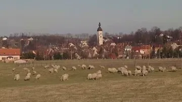 Venkov