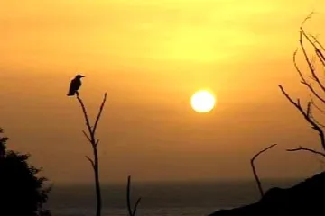 Manifest za pomalé rozbřesky