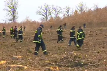 Hledaná Eliška se v úterý nevrátila domů kvůli špatné známce ve škole