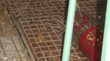 Mince nechal zloděj ležet na zemi