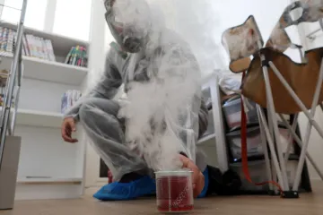 Francouzská vláda se vydala do boje se štěnicemi. Olympiáda se blíží