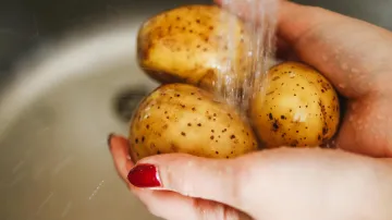 Brambory, ilustrační foto