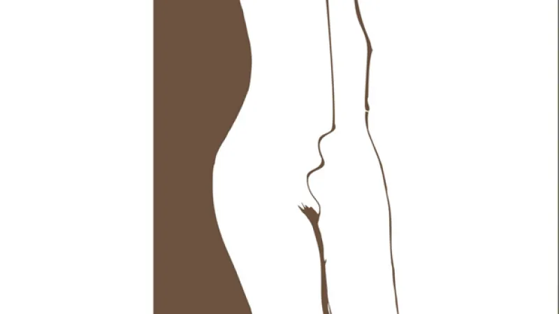 Karel Hynek Mácha: Máj