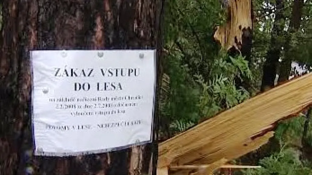 Zákaz vstupu do lesa