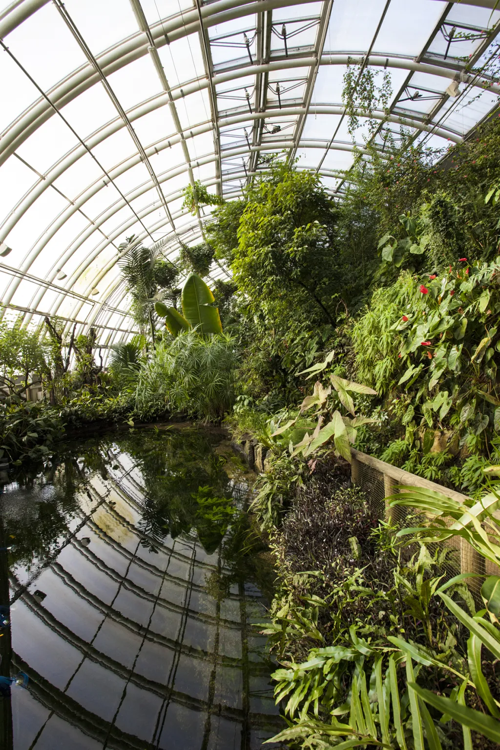Botanická zahrada hl. m. Prahy slaví 50 let