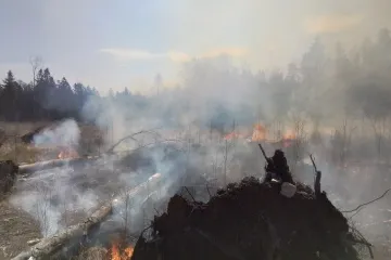 Hasiči lokalizovali požár lesa na Jihlavsku
