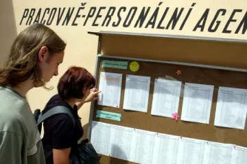 Daně a pojištění z výdělku z letní brigády