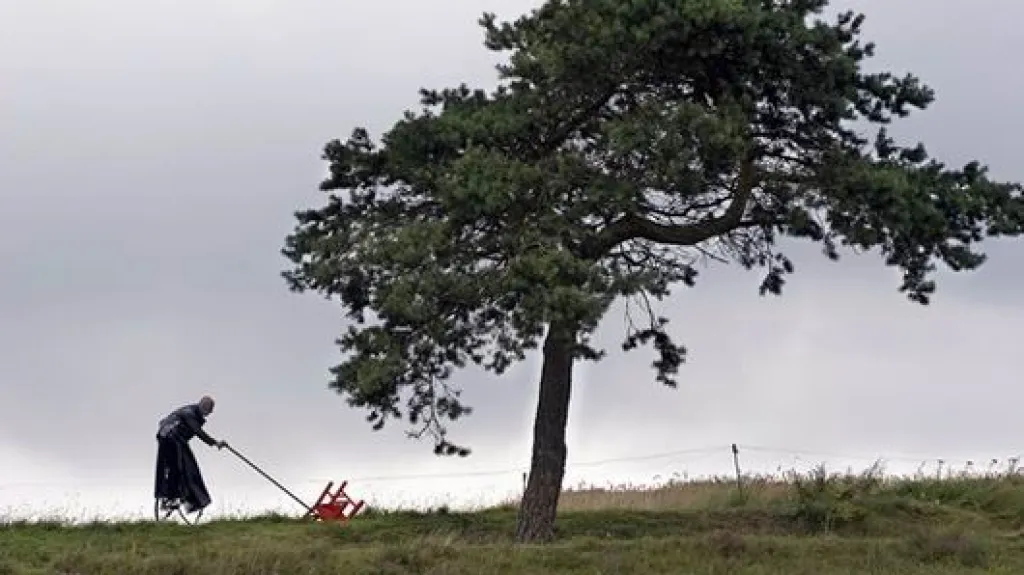 Kouzelný strom