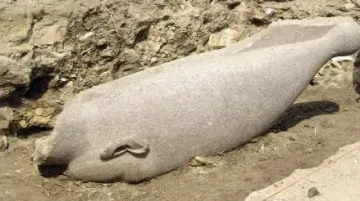 Hlava faraona Amenhotepa III.