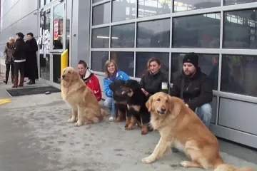 Hanácká národní výstava psů