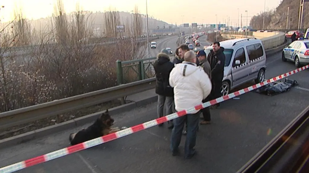 Střelba ve Strakonické ulici
