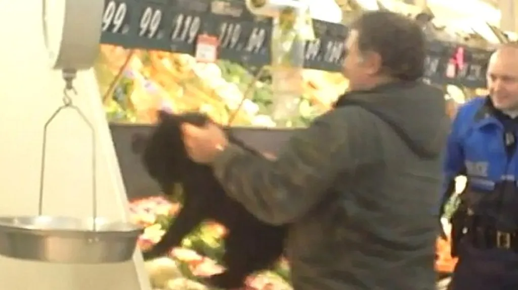 Medvídě v obchodě na Aljašce