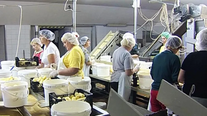 Cizinci při práci v Česku