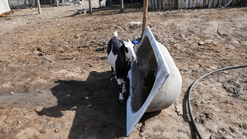 Jižní Ameriku trápí sucho v důsledku horka