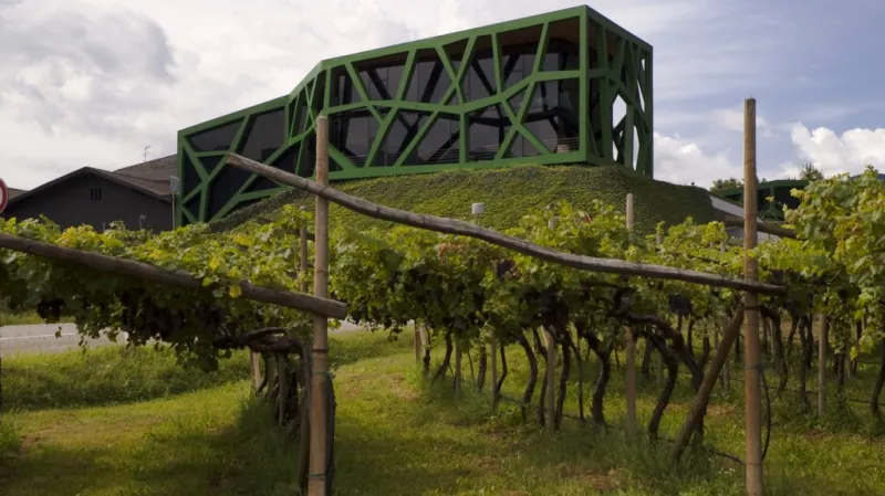 Cantina Tramin, Itálie