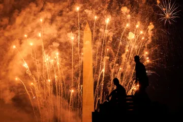 Týden obrazem: Slzy stromů, oslavy svobody a lány jako malované