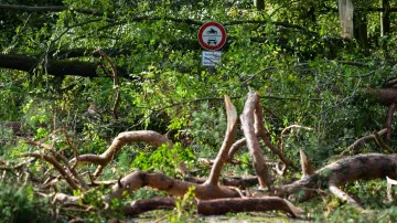 Polámané kusy kmenů stromů blokují lesní silnici v Bavorsku