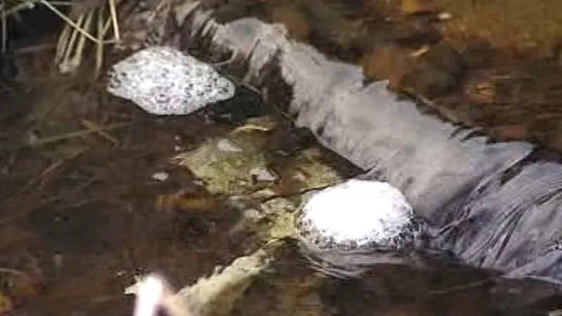 Znečištěný Vydří potok