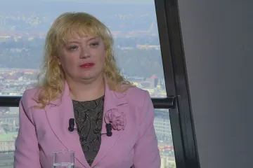 Přibrzdění růstu není žádná tragédie, není možné ekonomiku věčně přepalovat, tvrdí Švihlíková