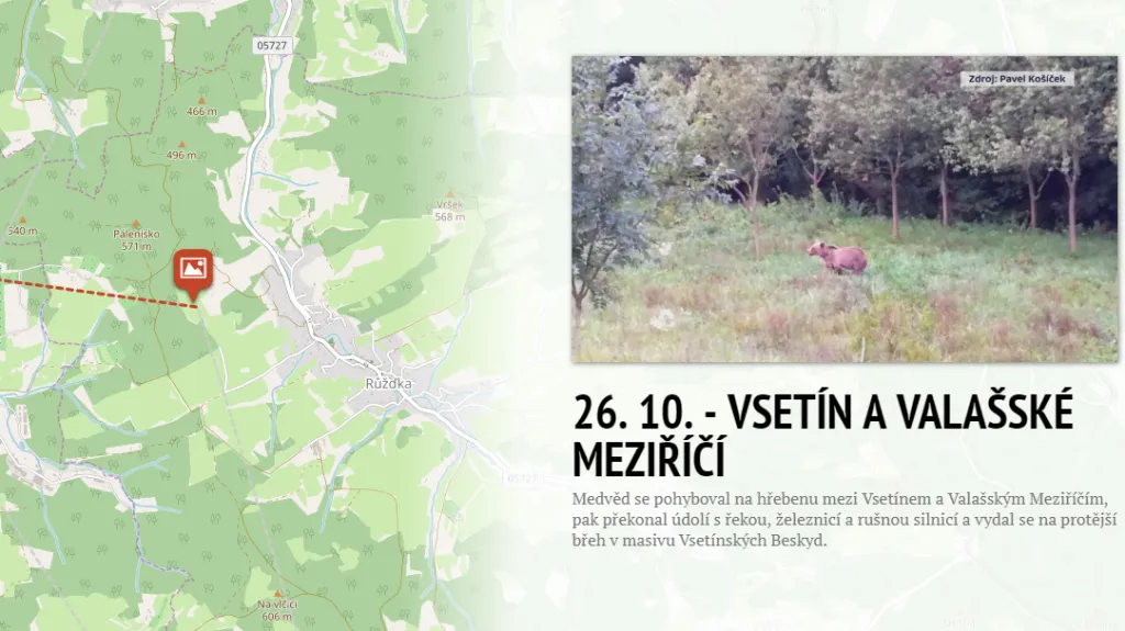 Medvědí aktivita na Valašsku