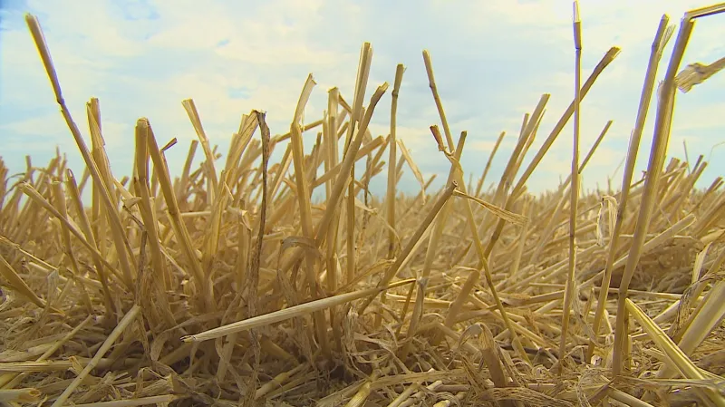 Odborník radí: Rozumně hospodařit, zadržovat vodu, snižovat spotřebu