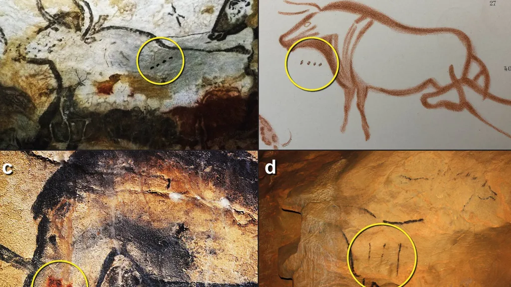 Obrazy jeskynních zvířat se symboly
