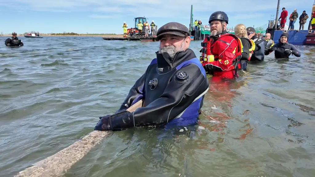Dobrovolníci keporkaka navedli do nákladového prostoru pomocí pružného pásu obtočeného kolem jeho těla