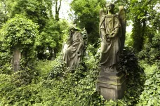 Metropolitní hřbitovy přišly o ředitele, vedení Prahy ho odvolalo